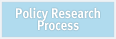 Policy Research Process