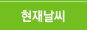 현재날씨