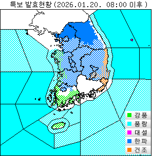 ���Ư�� ��Ȳ