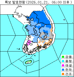 ���Ư�� ��Ȳ