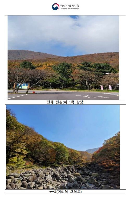 단풍2.JPG