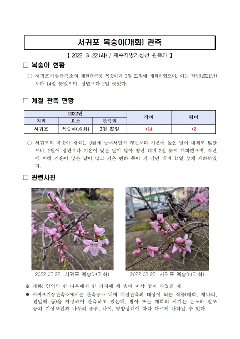 서귀포 복숭아(개화) 관측001.jpg