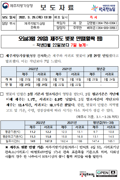 제주도벚꽃만발.PNG