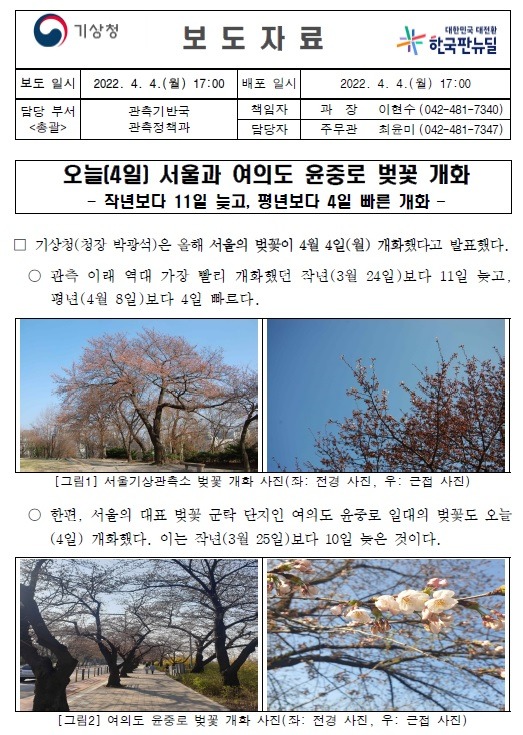 20220404_보도자료_오늘(4일) 서울과 여의도 윤중로 벚꽃 개화.jpg