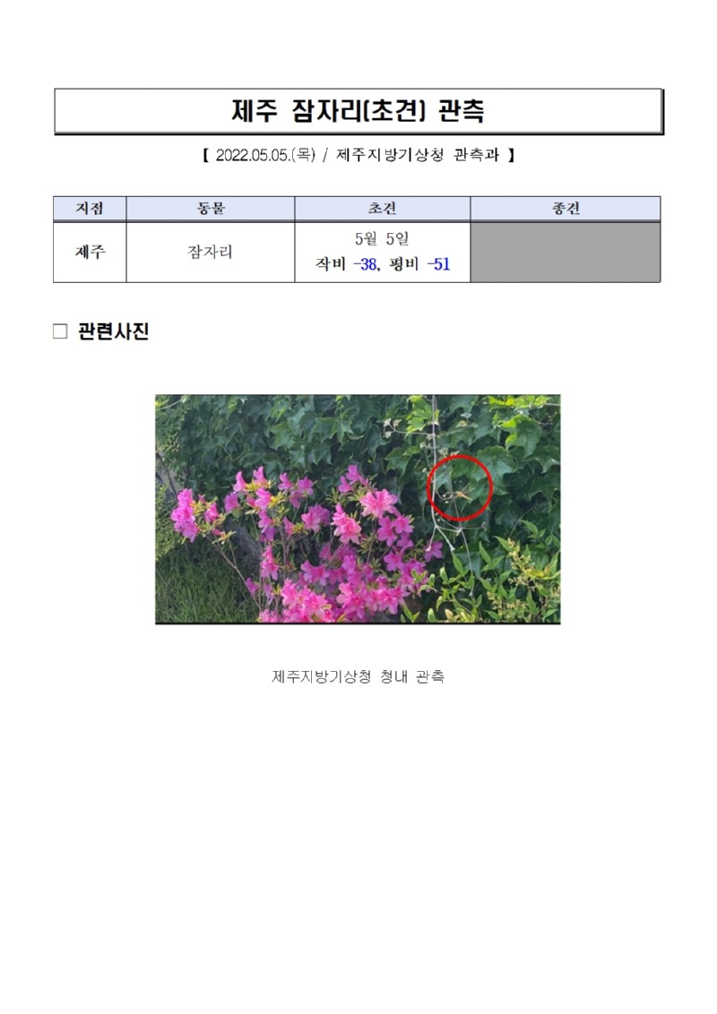 제주 잠자리(초견) 관측001.jpg