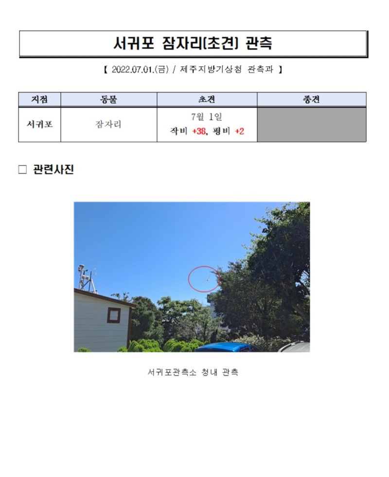 잠자리.JPG