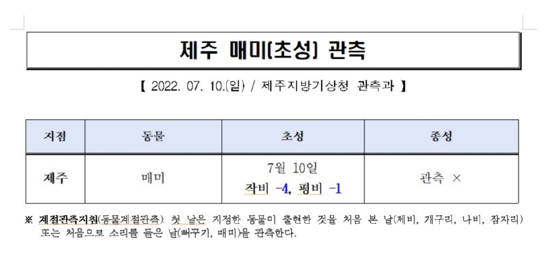제주 매미(초성) 관측.jpg
