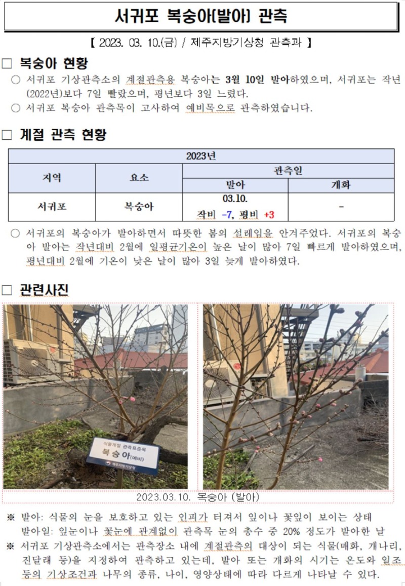 복숭아캡처.JPG