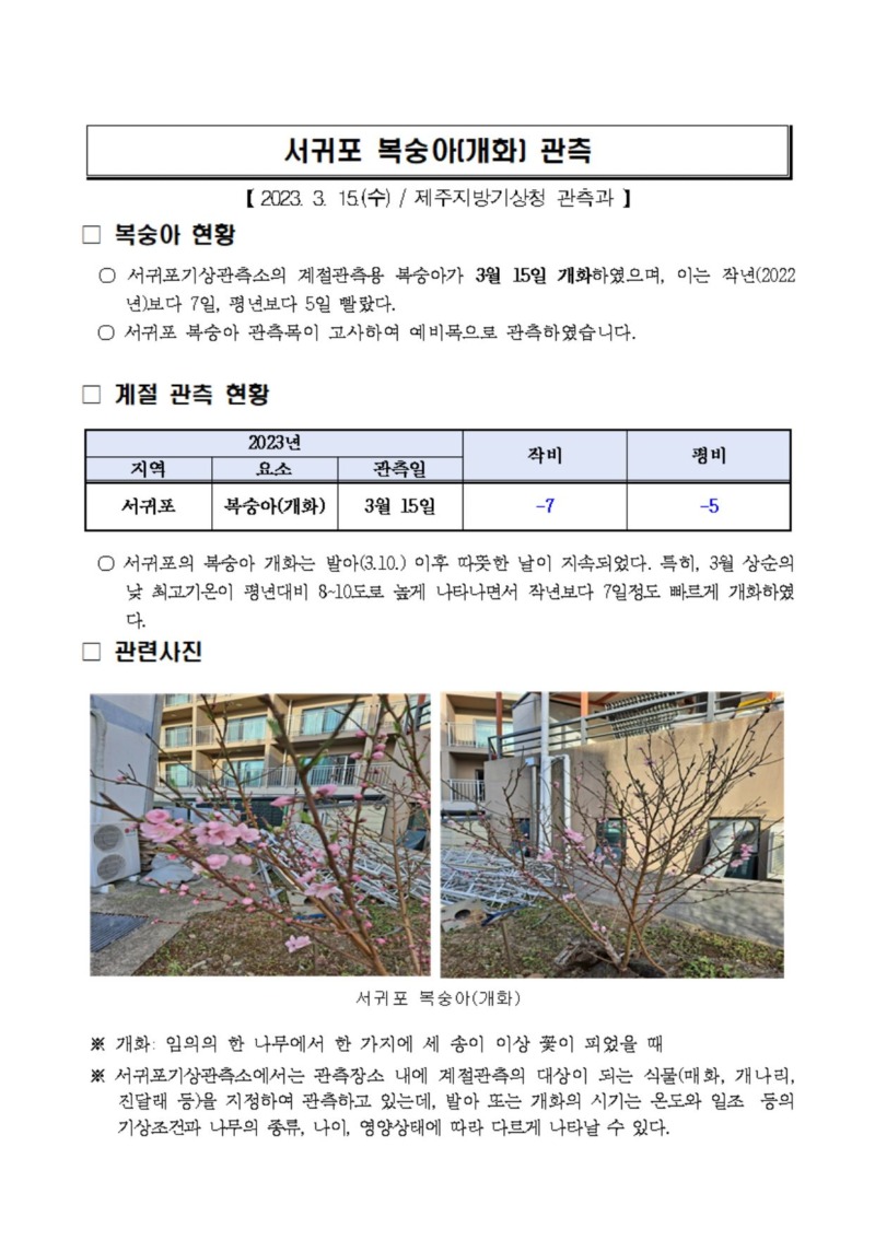 복숭아 수정.JPG