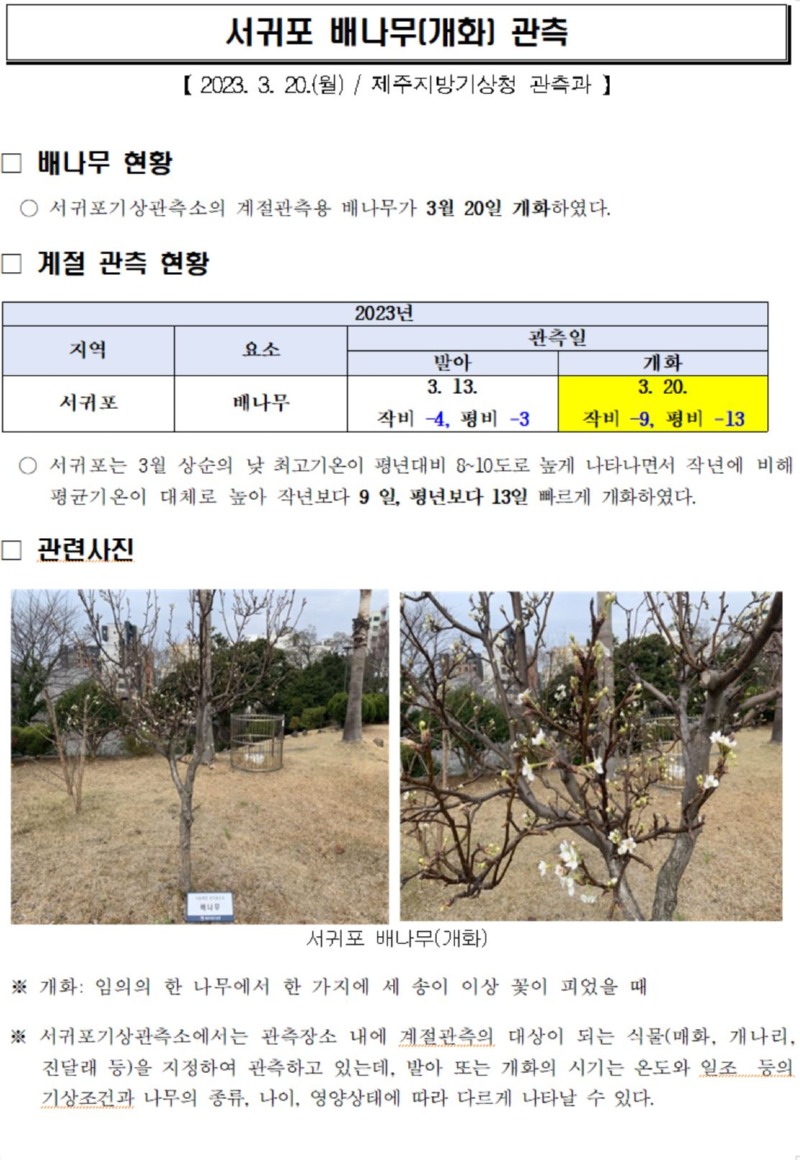 배나무_개화.JPG