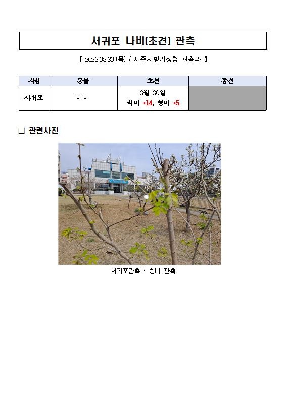 나비캡처.JPG