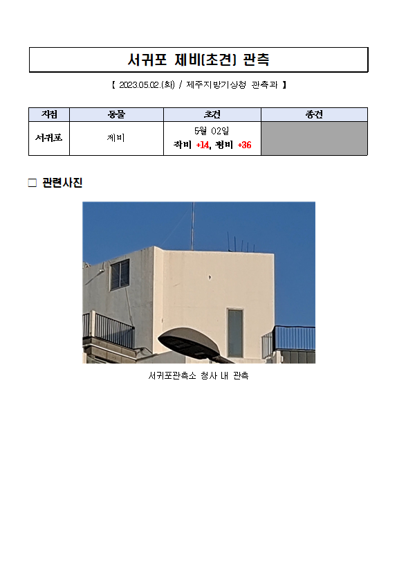 제비 캡처.PNG
