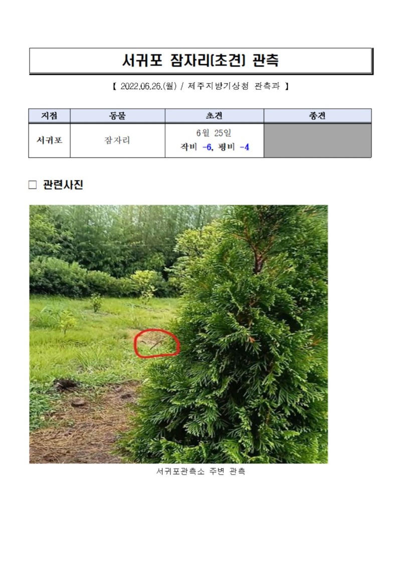 캡처.JPG
