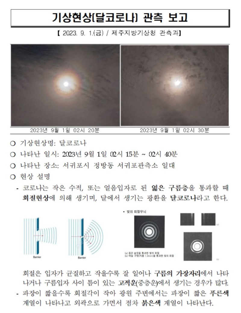 달코로나 캡처1.JPG