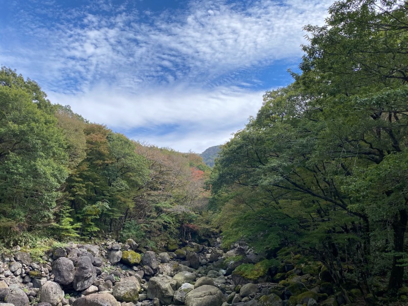 첫 단풍(2023.10.10)_오목교.jpeg