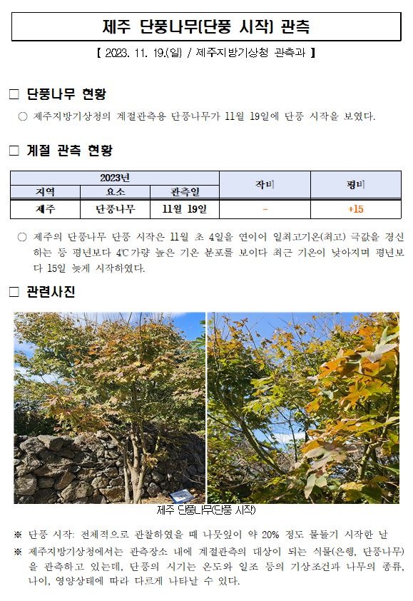 단풍시작.JPG