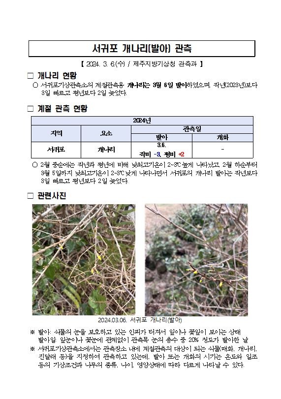 개나리 발아 캡처.JPG