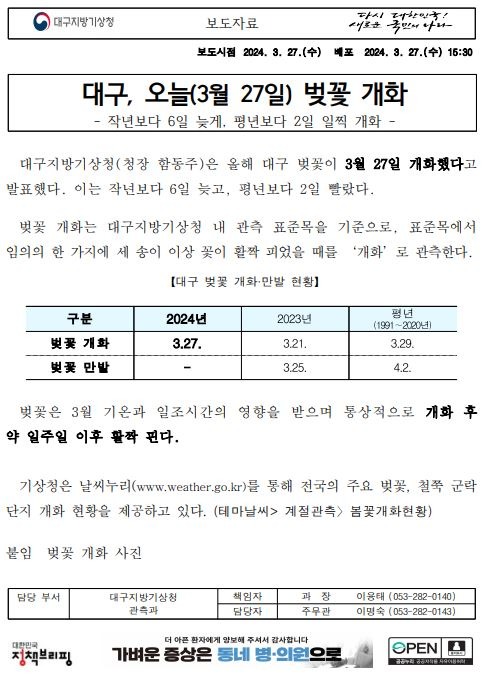 대구벚꽃개화(240327).JPG