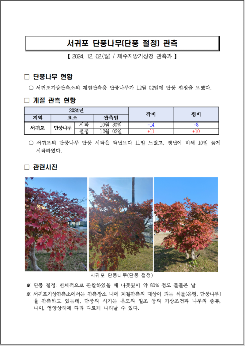 서귀포 단풍절정 캡처.PNG
