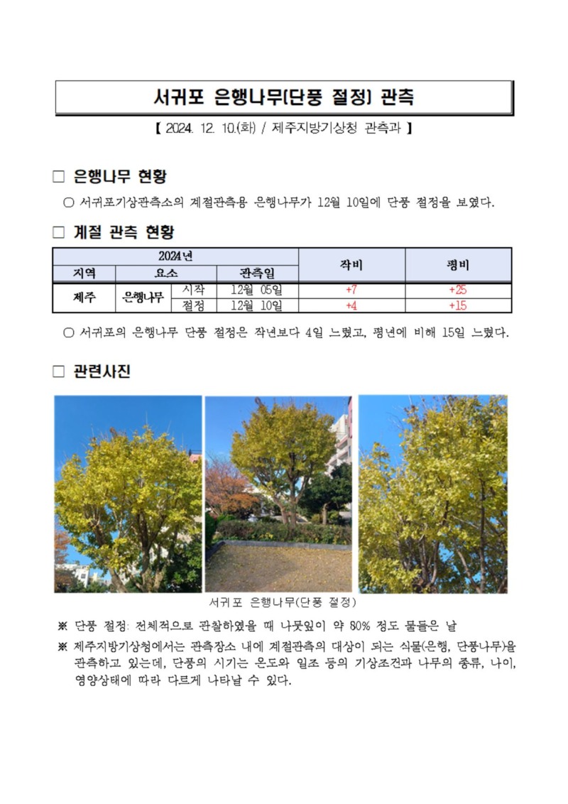 은행나무절정 캡처.JPG