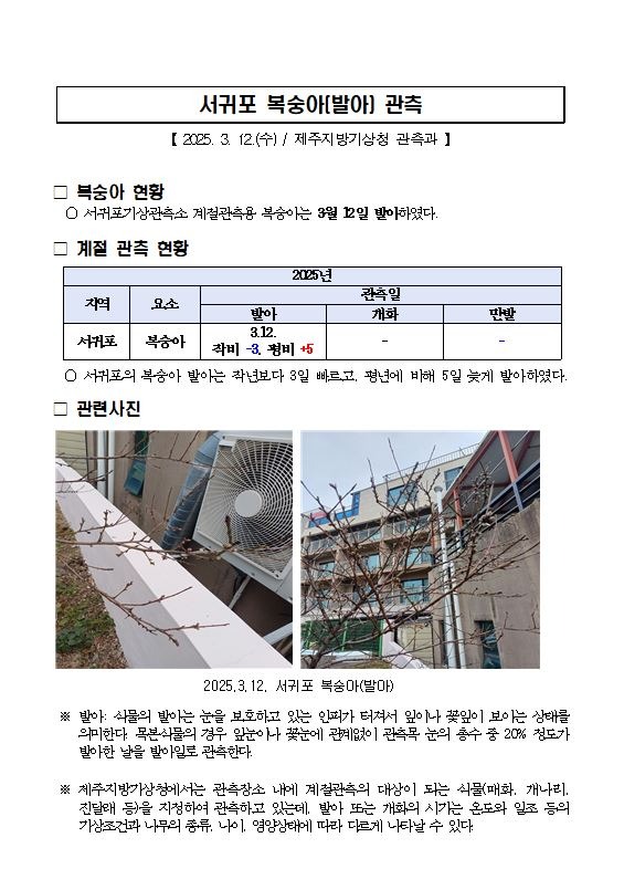복숭아캡처.JPG