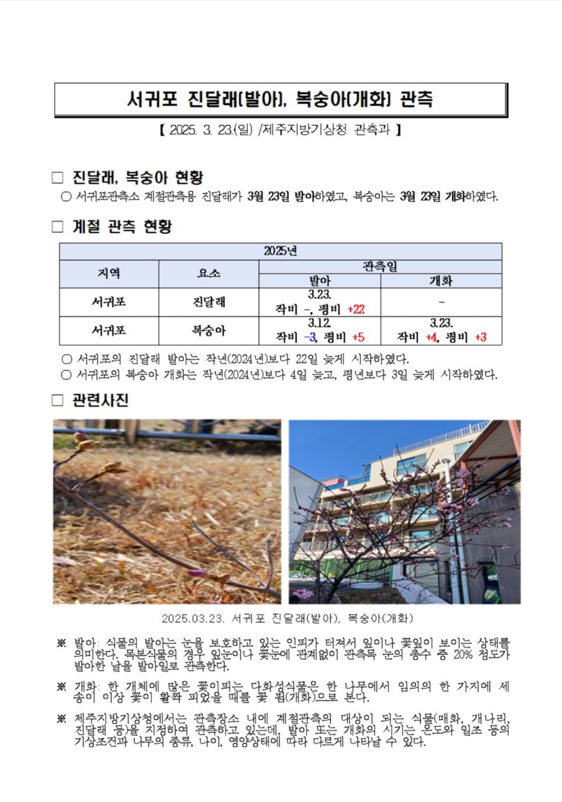 캡처.JPG