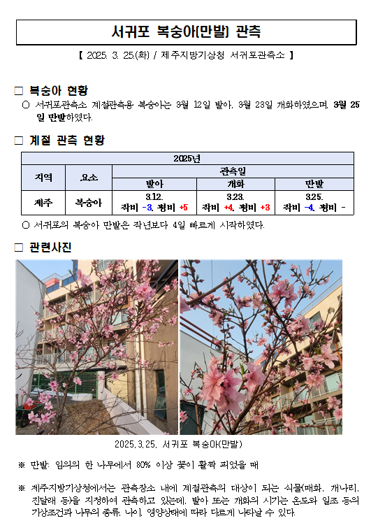 서귀포_복숭아(만발).png