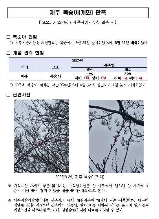 개화.jpg