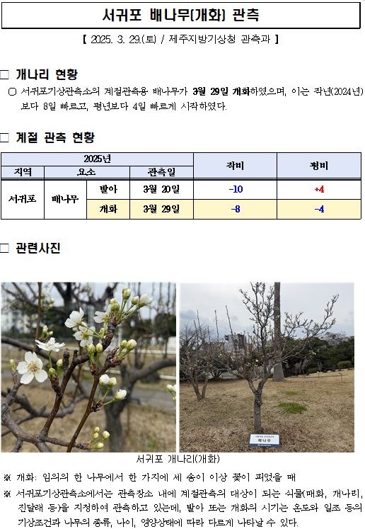 배나무 개화 캡처.JPG
