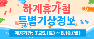 2026년 하계휴가철 특별교통