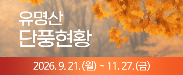 2026년도 유명산 단풍현황 서비스 제공