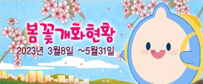 봄꽃개화현황