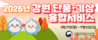 2026 강원 단풍·기상 융합서비스