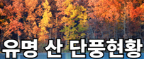 2023 유명 산 단풍현황