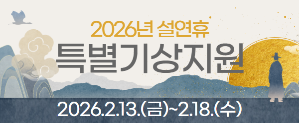 설 연휴 특별교통대책기간