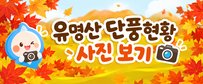 유명산 단풍 현황 연결 알림판