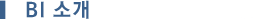 BI 소개