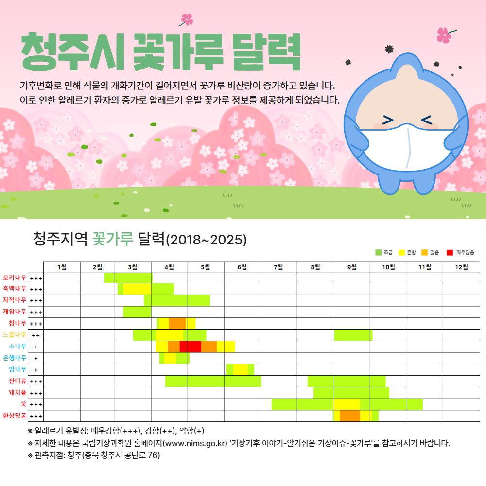 청주시 연간 꽃가루 달력입니다. 알레르기 유발 꽃가루의 종류와 비산 시기, 관련 정보를 제공하여 알레르기 예방과 건강한 일상생활을 돕습니다.