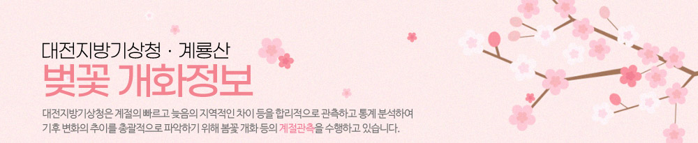 대전지방기상청, 계룡산 벚꽃 개화정보입니다. 대전지방기상청은 계절의 빠르고 늦음의 지역적인 차이 등을 합리적으로 관측하고 통계 분석하여 기후 변화의 추이를 총괄적으로 파악하기 위해 봄꽃 개화 등의 계절관측을 수행하고 있습니다.