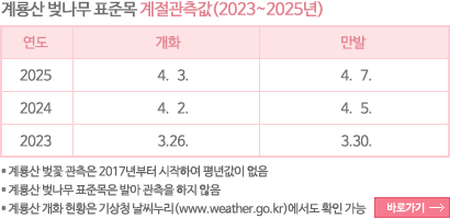 계룡산 벚나무 표준목 계절관측값입니다. 2023년도 벚꽃 개화는 3월 26일, 만발은 3월 30일입니다. 2024년 벚꽃 개화는 4월 2일, 만발은 4월 5일입니다. 2025년 벚꽃 개화는 4월 3일, 만발은 4월 7일입니다. 계룡산 벚꽃 관측은 2017년부터 시작하여 평년값이 없습니다. 계룡산 벚나무 표준목은 발아 관측을 하지 않습니다. 계룡산 개화 현황은 기상청 날씨누리에서도 확인이 가능합니다.