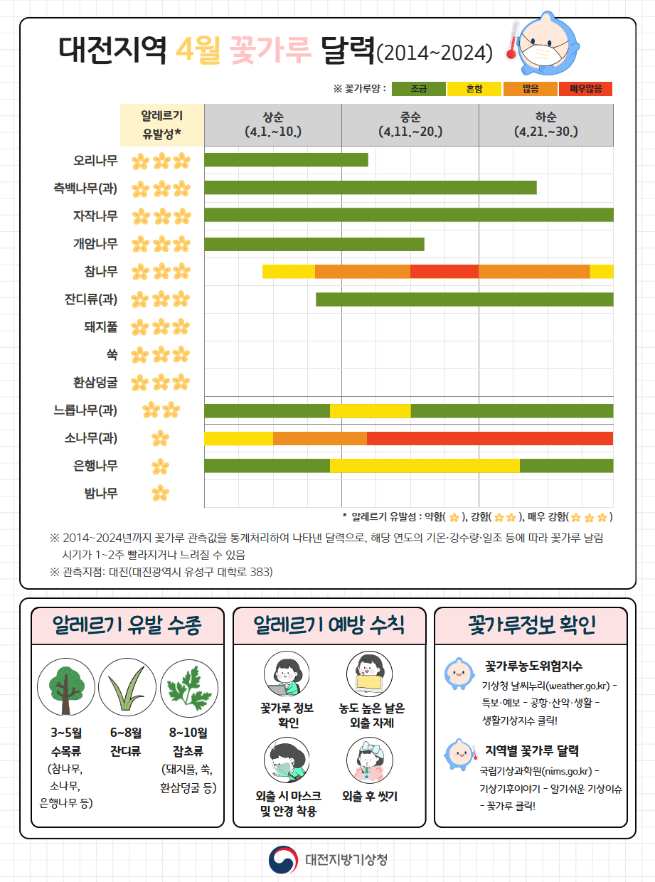 대전지역 4월 꽃가루 달력입니다. 알레르기 유발성이 매우 강한 나무는 오리나무, 측백나무, 자작나무, 개암나무, 참나무, 잔디류, 돼지풀, 쏙, 환삼덩굴이 있고, 알레르기 유발성이 강한 수종은 느릅나무, 알레르기 유발성이 약한 수종은 소나무, 은행나무, 밤나무입니다. 오리나무의 꽃가루량은 2월 하순부터 4월 상순까지 조금, 측백나무는 2월 말부터 4월 중순까지 꽃가루량은 조금, 자작나무는 3월 말부터 5월 하순까지 꽃가루량은 조금, 개암나무는 2월 말부터 4월 중순까지 조금 발생했습니다. 느릅나무는 3월 중순부터 4월 말까지 꽃가루량이 조금이지만 4월 중순에는 조금 더 흔하게 발생했습니다. 소나무는 3월 말부터 꽃가루 양이 발생하기 시작하여, 4월 초순경 중순초까지는 심해지다가 중순경부터는 매우 많이 발생했습니다. 은행나무는 4월부터 조금 발생하다가 4월 중순경에 흔하게 발생했습니다. 꽃가루양은 2014년부터 2024년까지 꽃가루 관측값을 통계처리하여 나타낸 달력으로, 해당 연도의 기온, 강수량, 일조 등에 따라 꽃가루 날림 시기가 1,2주 빨라지거나 느려질수 있습니다. 대전 꽃가루달력 관측지점 주소는 대전광역시 유성구 대학로 383입니다. 알레르기 유발 수종은 3,4,5월 수목류에는 참나무, 소나무, 은행나무 등, 6,7,8월은 잔디류, 8.9.10월은 돼지풀, 쑥, 환삼덩굴 등 잡초류가 있습니다. 알레르기 예방수칙은 꽃가루 정보 확인, 농도 높은 날은 외출 자제 하시고, 외출시 마스크 및 안경을 착용하세요. 외출후 씻기 등이 있습니다. 꽃가루 정보 확인은 꽃가루 농도 위험지수에서도 확인이 가능하며, 지역별 꽃가루 달력은 국립기상과학원 알기쉬운 기상이슈에서 확인하실수 있습니다.