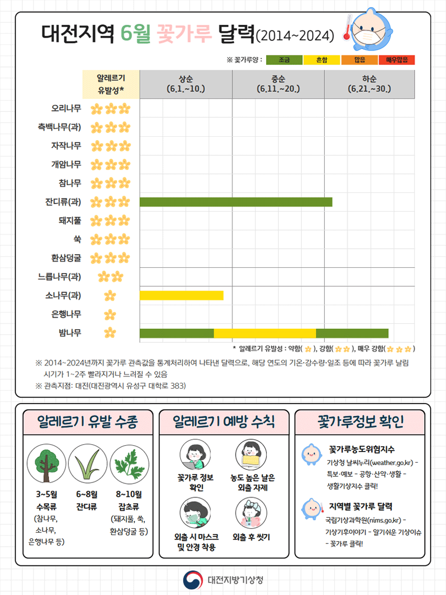 대전지역 6월 꽃가루 달력입니다. 알레르기 유발성이 매우 강한 나무는 오리나무, 측백나무, 자작나무, 개암나무, 참나무, 잔디류, 돼지풀, 쏙, 환삼덩굴이 있고, 알레르기 유발성이 강한 수종은 느릅나무, 알레르기 유발성이 약한 수종은 소나무, 은행나무, 밤나무입니다. 잔디류는 6월 20일경까지 꽃가루가 조금 발생하겠습니다.소나무는 6월 상순까지 꽃가루가 흔하게 날리겠습니다. 밤나무는 6월 상순까지는 조금, 상순부터 중순까지는 흔하게 발생하다가 하순쯤 조금 발생하겠습니다. 꽃가루양은 2014년부터 2024년까지 꽃가루 관측값을 통계처리하여 나타낸 달력으로, 해당 연도의 기온, 강수량, 일조 등에 따라 꽃가루 날림 시기가 1,2주 빨라지거나 느려질수 있습니다. 대전 꽃가루달력 관측지점 주소는 대전광역시 유성구 대학로 383입니다. 알레르기 유발 수종은 3,4,5월 수목류에는 참나무, 소나무, 은행나무 등, 6,7,8월은 잔디류, 8.9.10월은 돼지풀, 쑥, 환삼덩굴 등 잡초류가 있습니다. 알레르기 예방수칙은 꽃가루 정보 확인, 농도 높은 날은 외출 자제 하시고, 외출시 마스크 및 안경을 착용하세요. 외출후 씻기 등이 있습니다. 꽃가루 정보 확인은 꽃가루 농도 위험지수에서도 확인이 가능하며, 지역별 꽃가루 달력은 국립기상과학원 알기쉬운 기상이슈에서 확인하실수 있습니다.