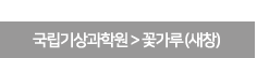 국립기상과학원 꽃가루 확인하기