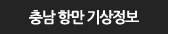 충남 항만 기상정보