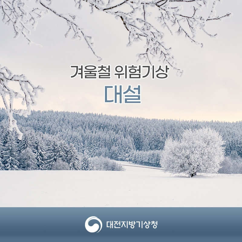 겨울철 위험기상, 대설