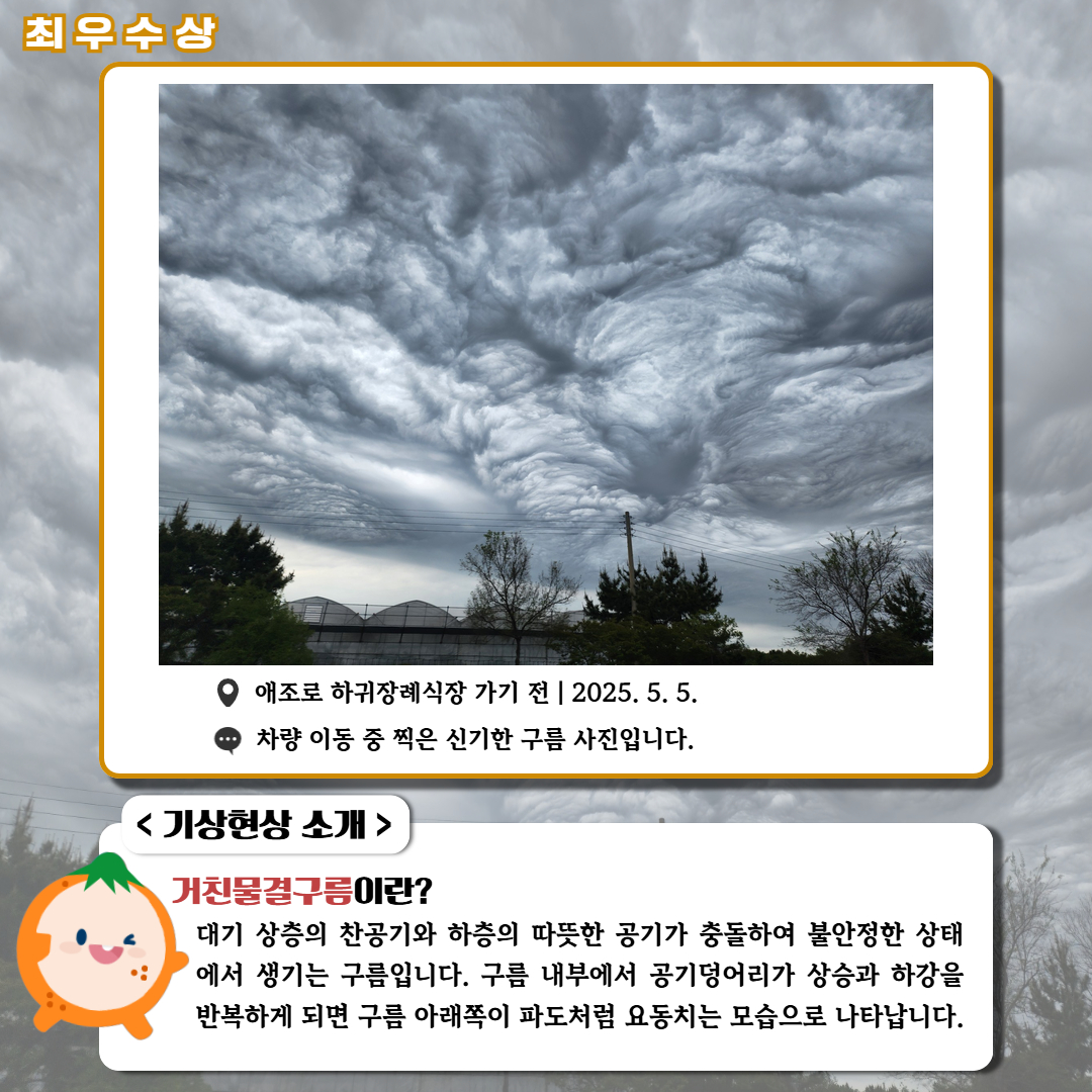 최우수상/'애조로 하귀장례식장 가기 전|2025.5.5.|차량 이동 중 찍은 신기한 구름 사진입니다.' <기상현상 소개> 거친물결구름이란? 대기 상층의 찬공기와 하층의 따뜻한 공기가 충돌하여 불안정한 상태에서 생기는 구름입니다. 구름 내부에서 공기덩어리가 상승과 하강을 반복하게 되면 구름 아래쪽이 파도처럼 요동치는 모습으로 나타납니다.