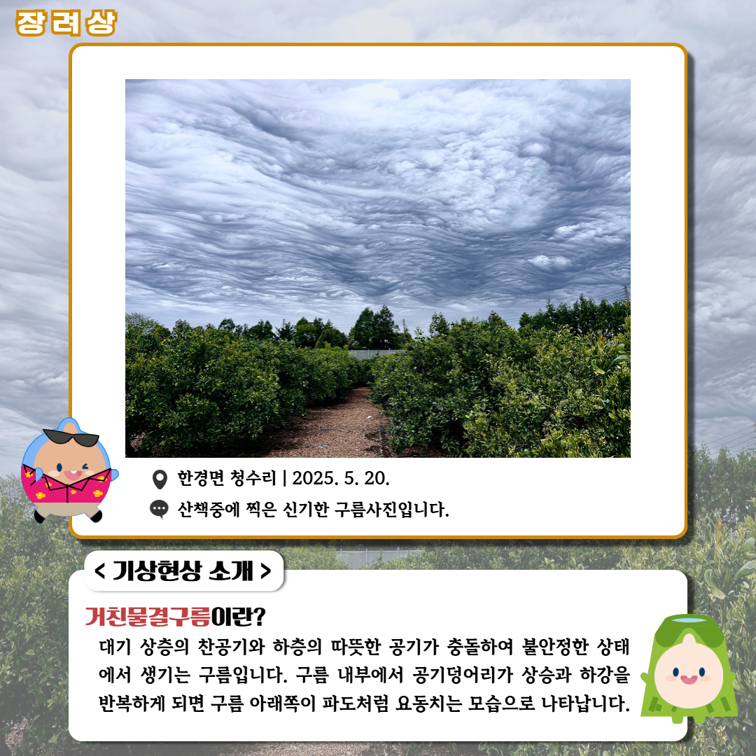 장려상/'한경면 청수리|2025.5.20.|산책중에 찍은 신기한 구름사진입니다.' <기상현상 소개> 거친물결구름이란? 대기 상층의 찬공기와 하층의 따뜻한 공기가 충돌하여 불안정한 상태에서 생기는 구름입니다. 구름 내부에서 공기덩어리가 상승과 하강을 반복하게 되면 구름 아래쪽이 파도처럼 요동치는 모습으로 나타납니다.