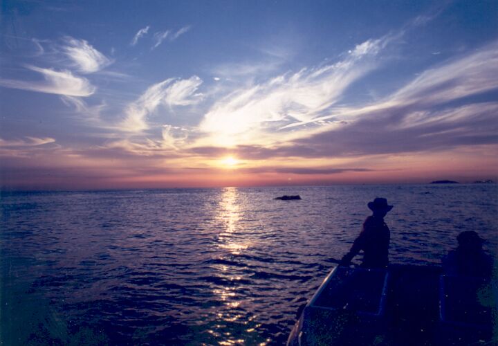 기상청 한반도 모양의 고적운