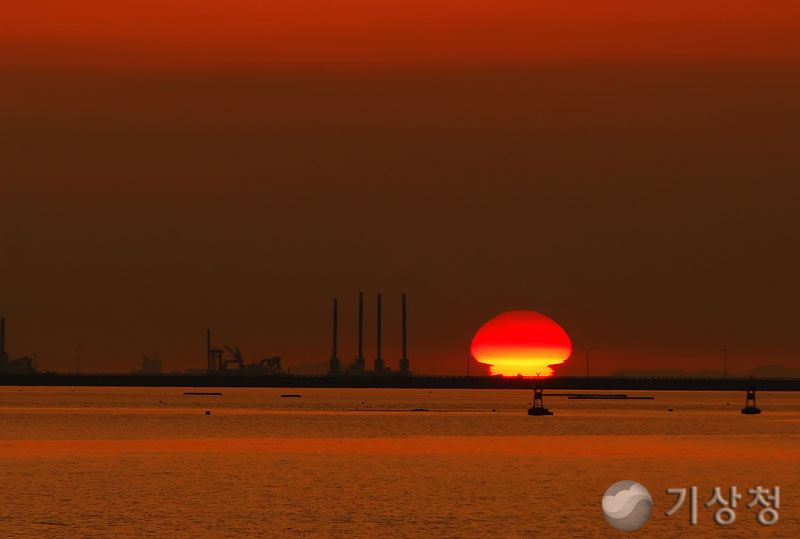 기상청 오메가 버섯