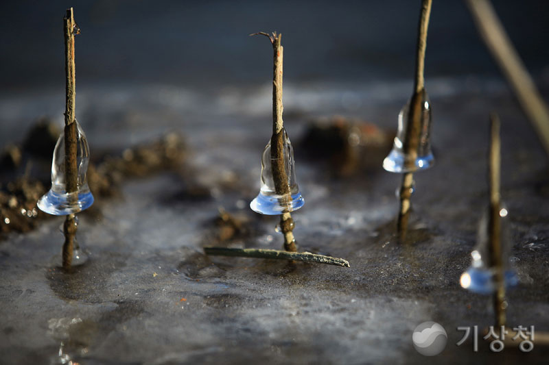 기상청 얼음 종(氷鍾)